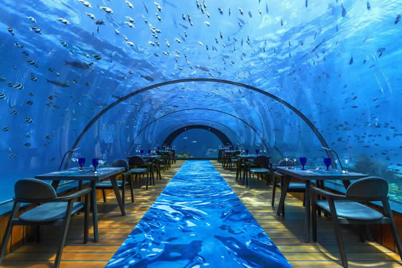 undersea fine dining
