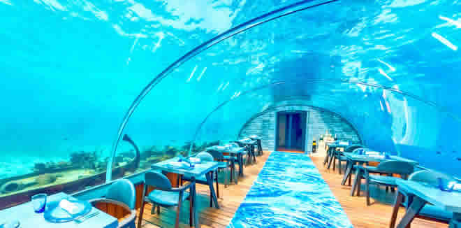 6 Underwater Restaurants in The Maldives,  Where to Dine Underwater in the Maldives?