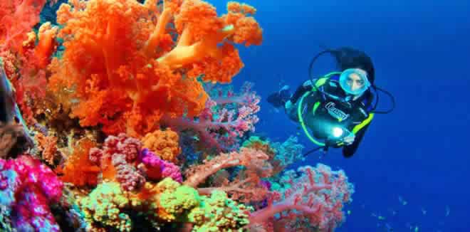 most popular dive sites in Maldives