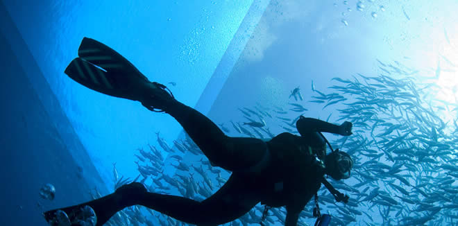 Diving in South Malé Atoll