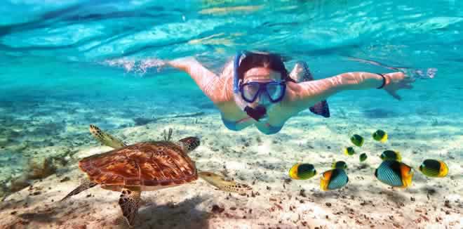 Top 10 Best House Reefs in Maldives 2018, 10 Maldives Resorts with Best House Reef for Snorkeling, coral, fish, marine life, Which Resorts have the 