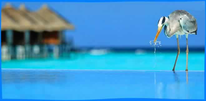 10 Maldives Boutique Resorts