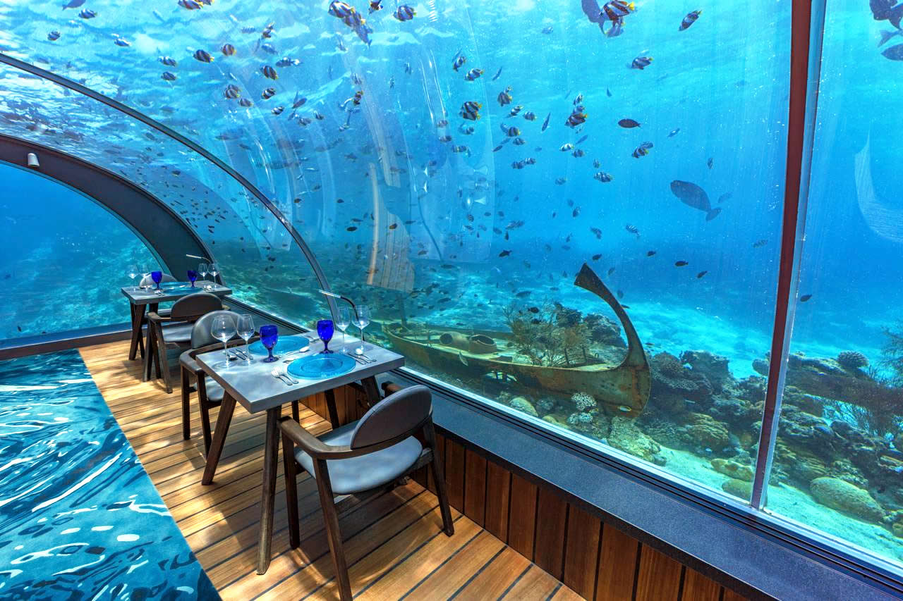 5.8 Undersea Restaurant and fish around