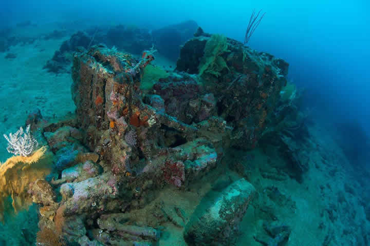 Artificial Reef created out of army supply vehicles after WWII in the Russel Islands