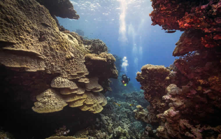 Fury Shoals offers impressive coral formations and reefs as well as playful spinner dolphins