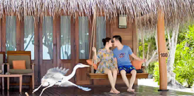 Medhufushi Island Resort honeymoon