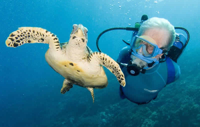 diving with turtles