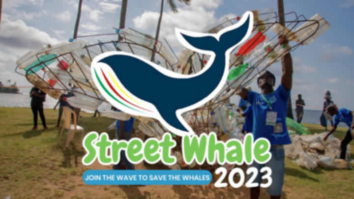 Street Whale Festival in Cameroon