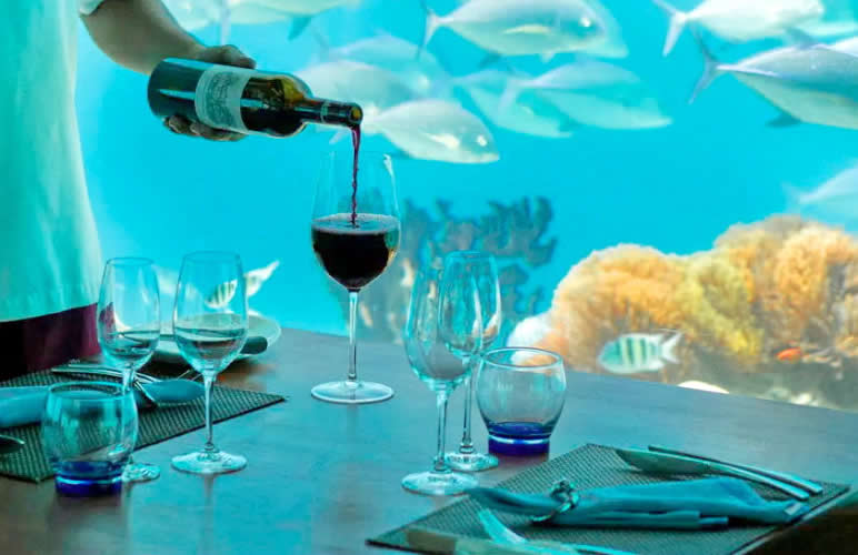 underwater dining experience in maldives