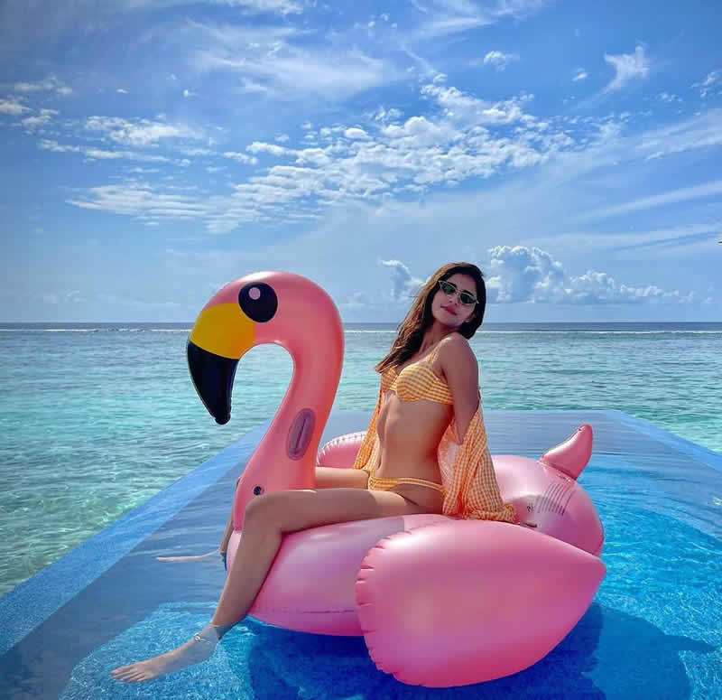 Ananya Panday in bikini