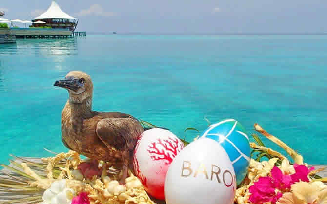 Perfect Maldives Island for a Joyful Easter