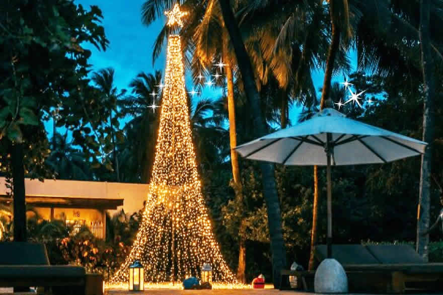 christmas tree on the beach
