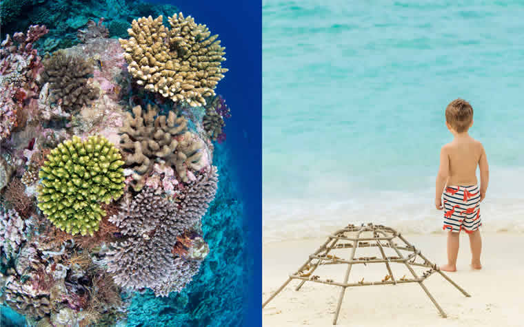 coral conservation initiatives in maldives