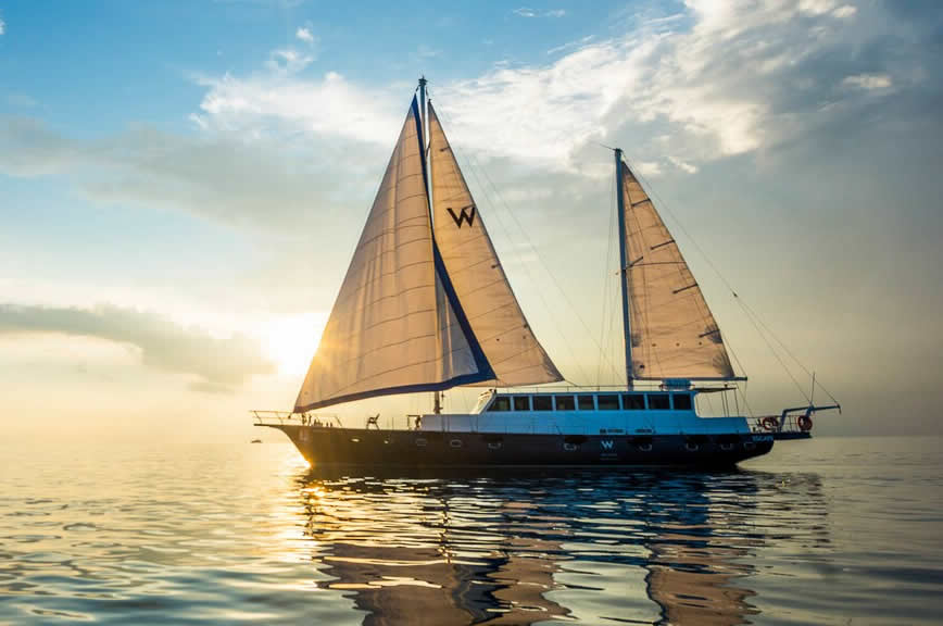 sunset sailing maldives