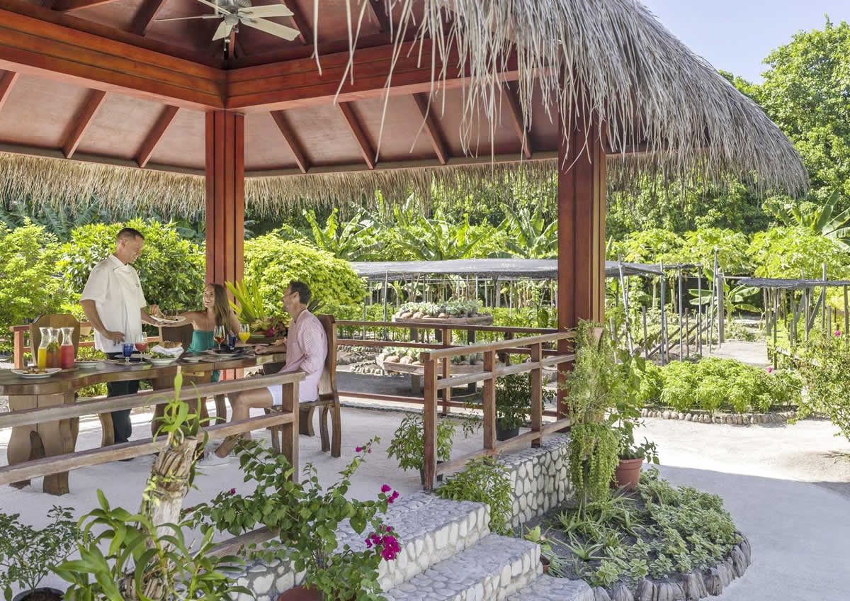 A Farm to Plate Jorney - Shangri-La’s Villingili Resort & Spa, Maldives