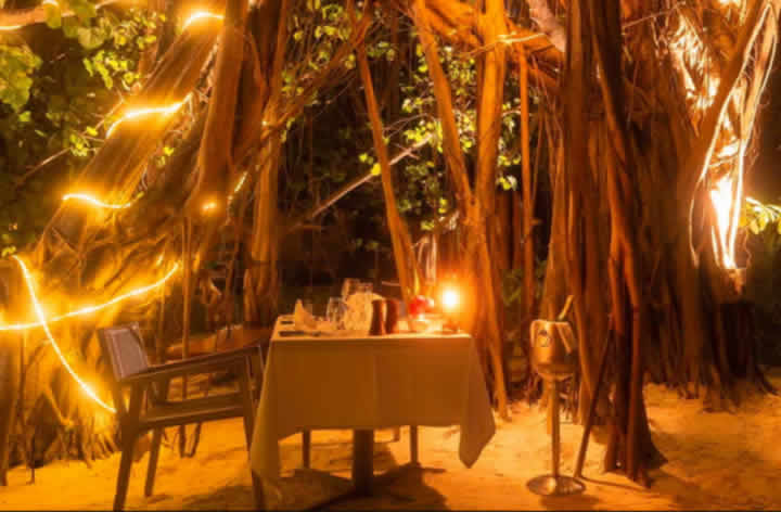a special dinner under the trees at Kuredu Maldives
