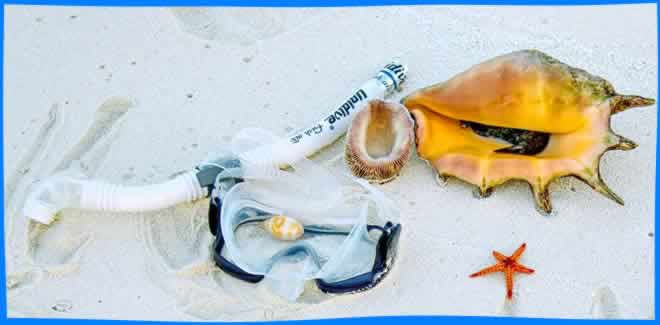 Top 10 Best Snorkeling Resorts in maldives - best resorts to for house reef snorkeling in maldives