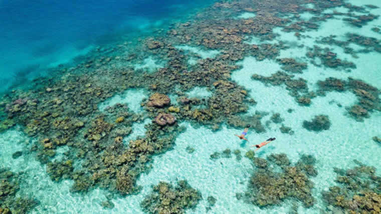 Komandoo Island: the house reef