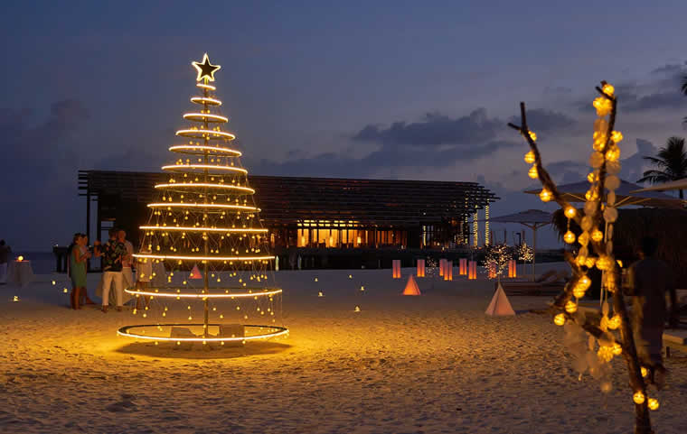 christmas tree maldives