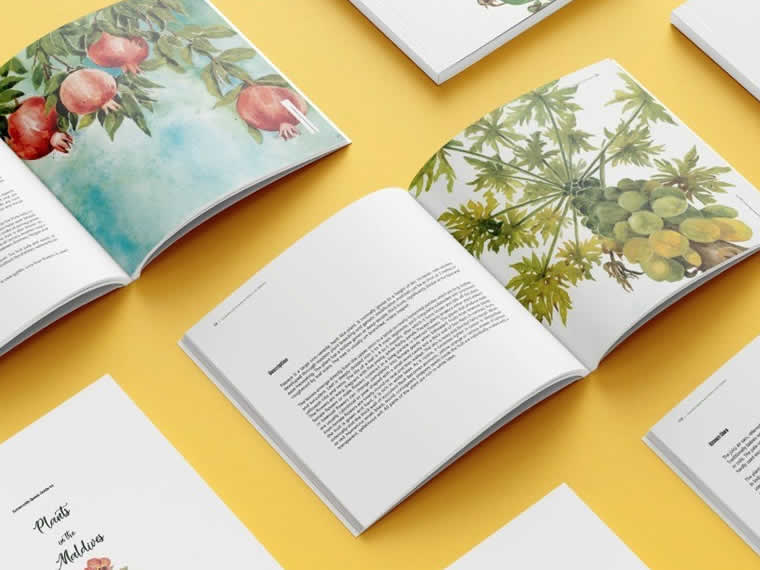 maldives botany books