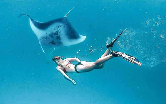manta rays paradise
