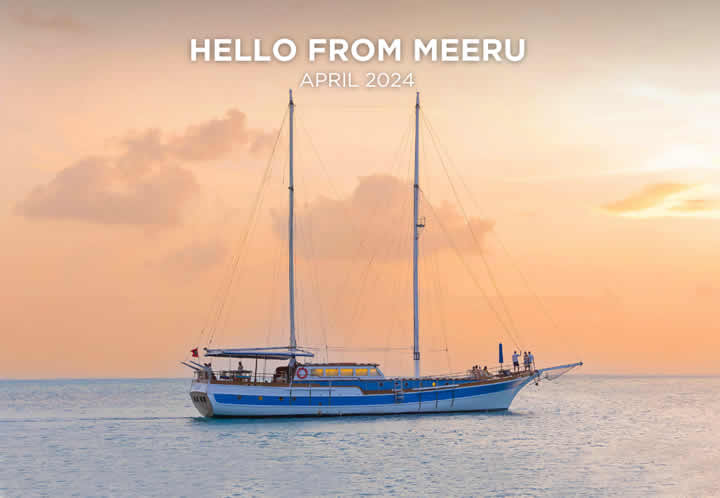 Latest News from Meeru Island, April 2024 - Maldives Magazine