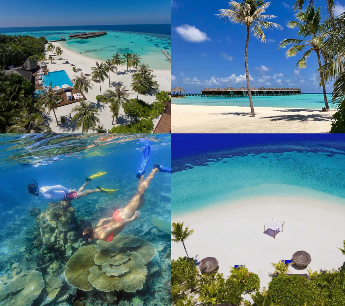 Maafushivaru Maldives: things to do on the island
