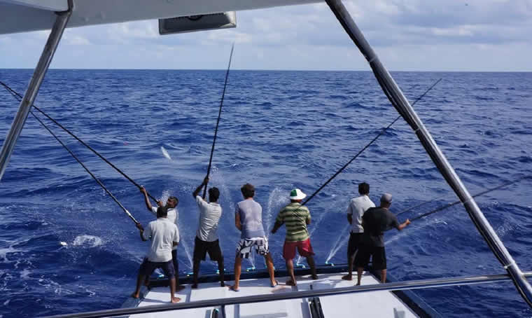 TUNA FISHING in Maldives