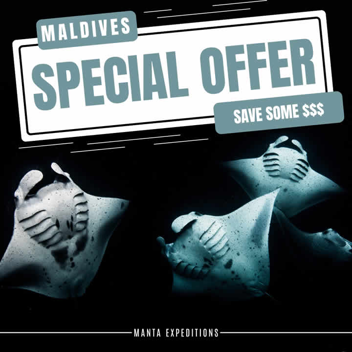 Manta Expeditions Special Offers, maldives 2023