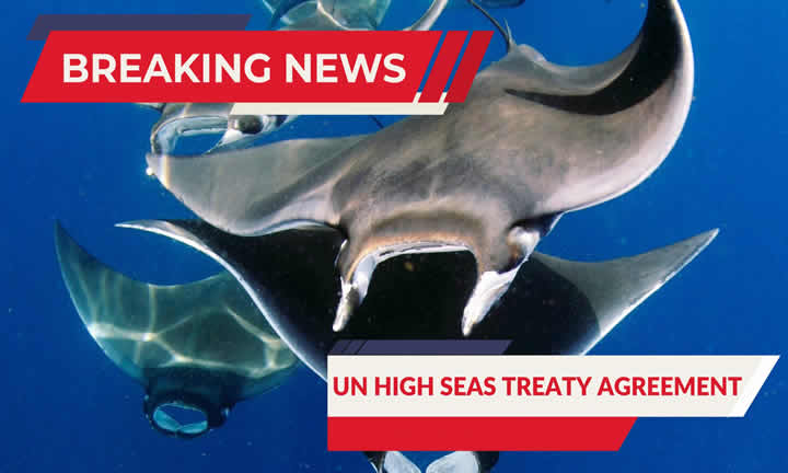 UN High Seas Treaty Agreement