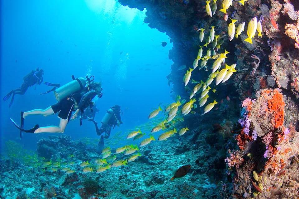 cave diving maldives