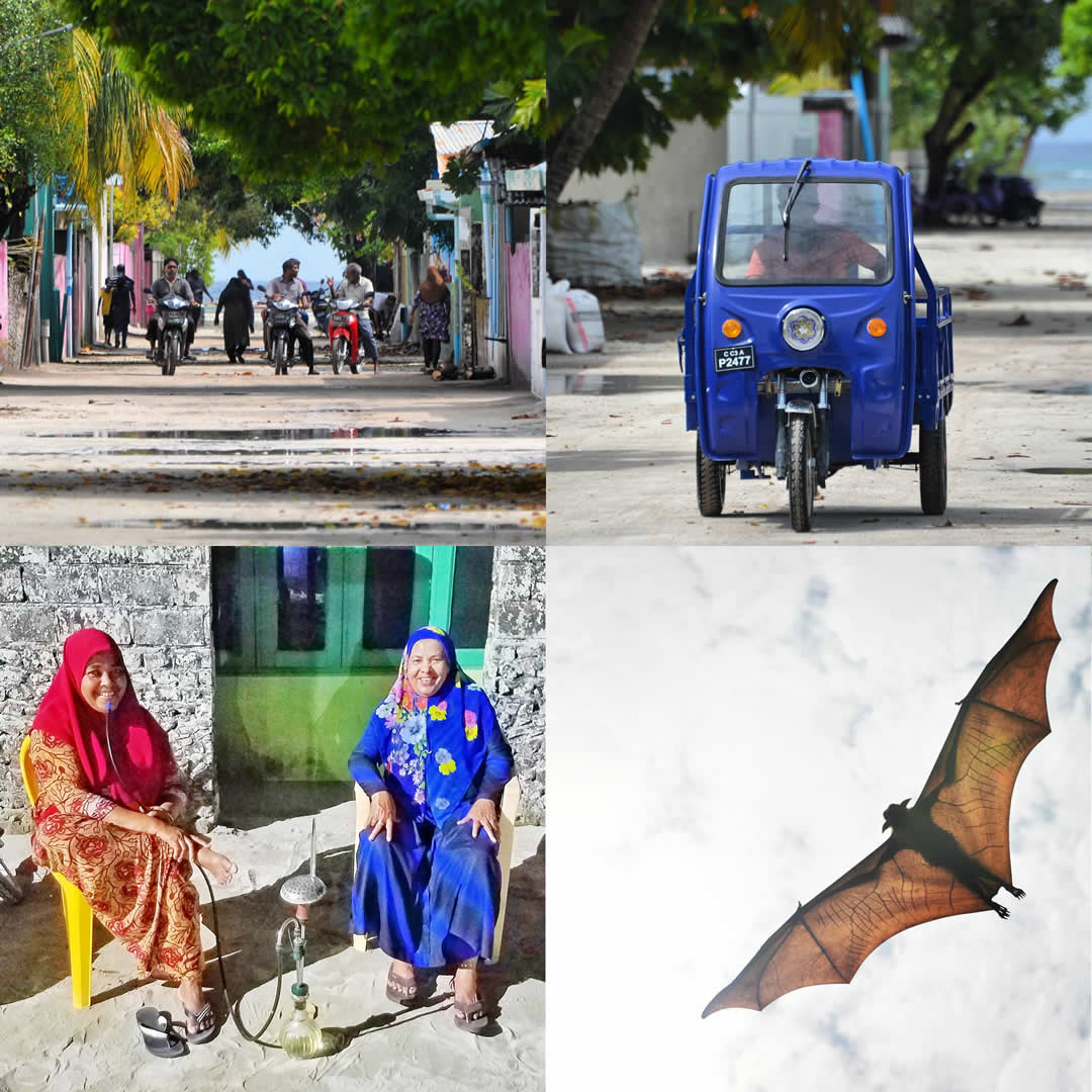 Nilandhoo, faafu atoll, maldives on a budget