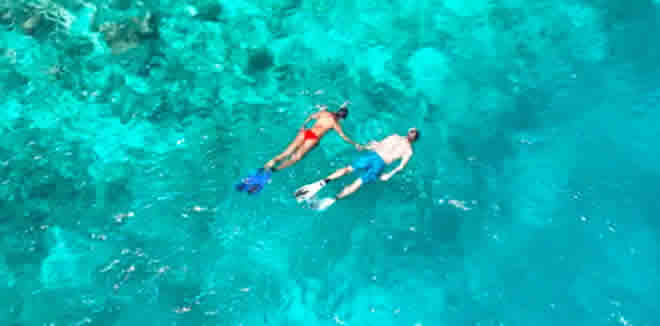 Nova Maldives: house reef snorkeling