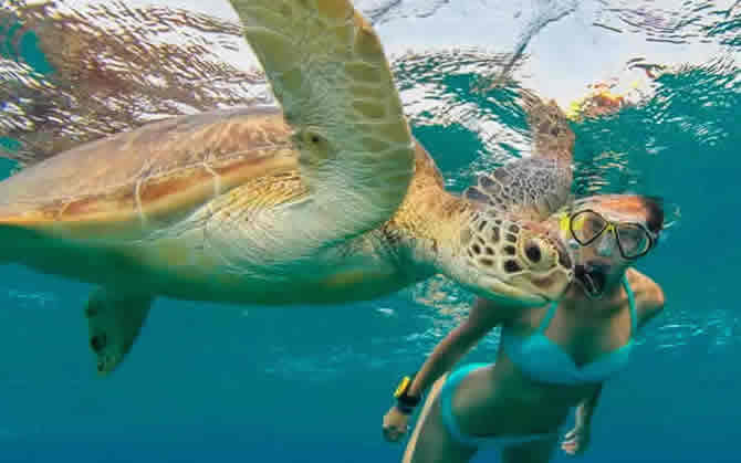 Snorkeling excursion in maldives