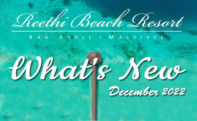 Reethi Beach water sport activities in 2023