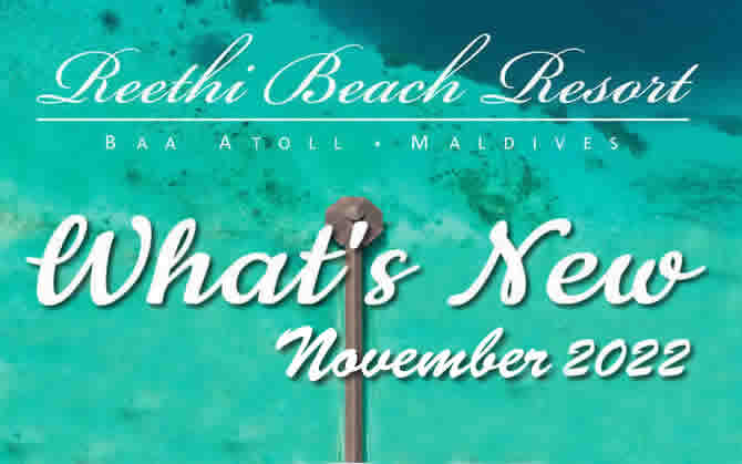 News from Reethi Beach Maldives resort