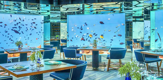 the Sea is underwater Restaurant
