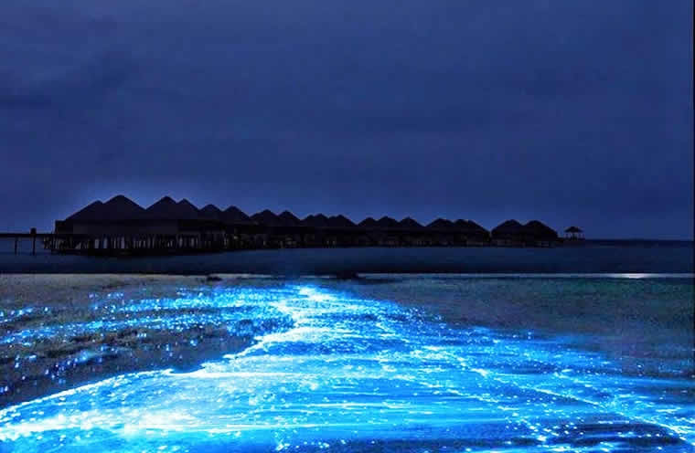 The Sea of Stars on Vaadhoo Island, Maldives