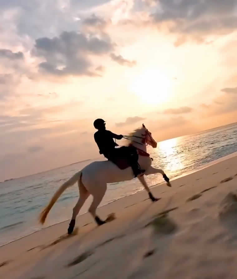horse riding in maldives