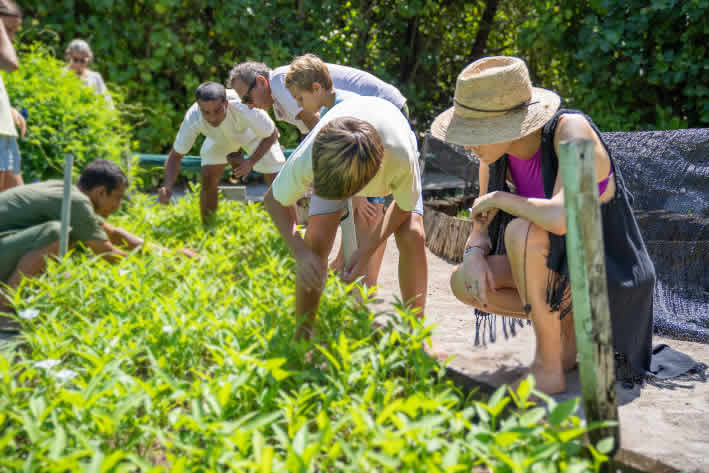 Embark on a seed-to-farm journey with the Sustainability Camp's "Home Grown" session.