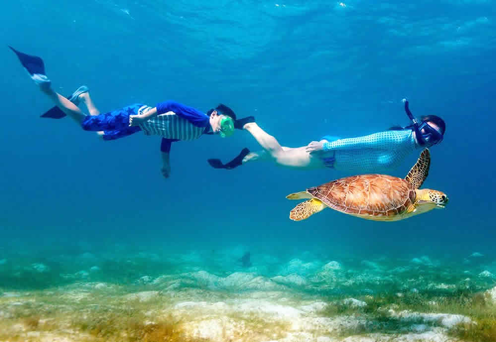 best snorkeling in maldives