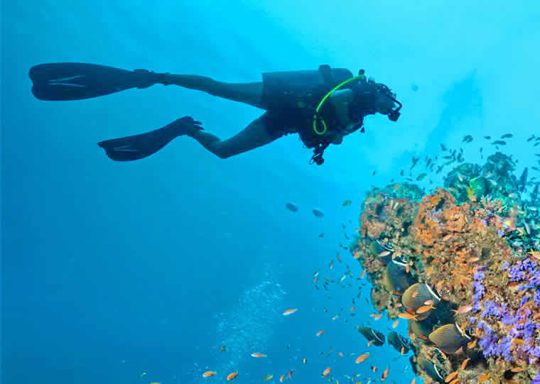 Scuba Diving Guide in maldives