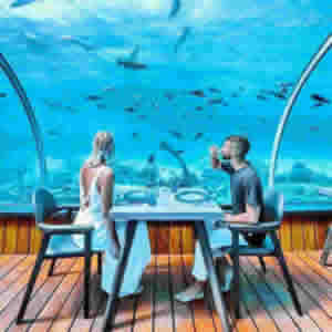 best north male atoll resorts for honeymooners